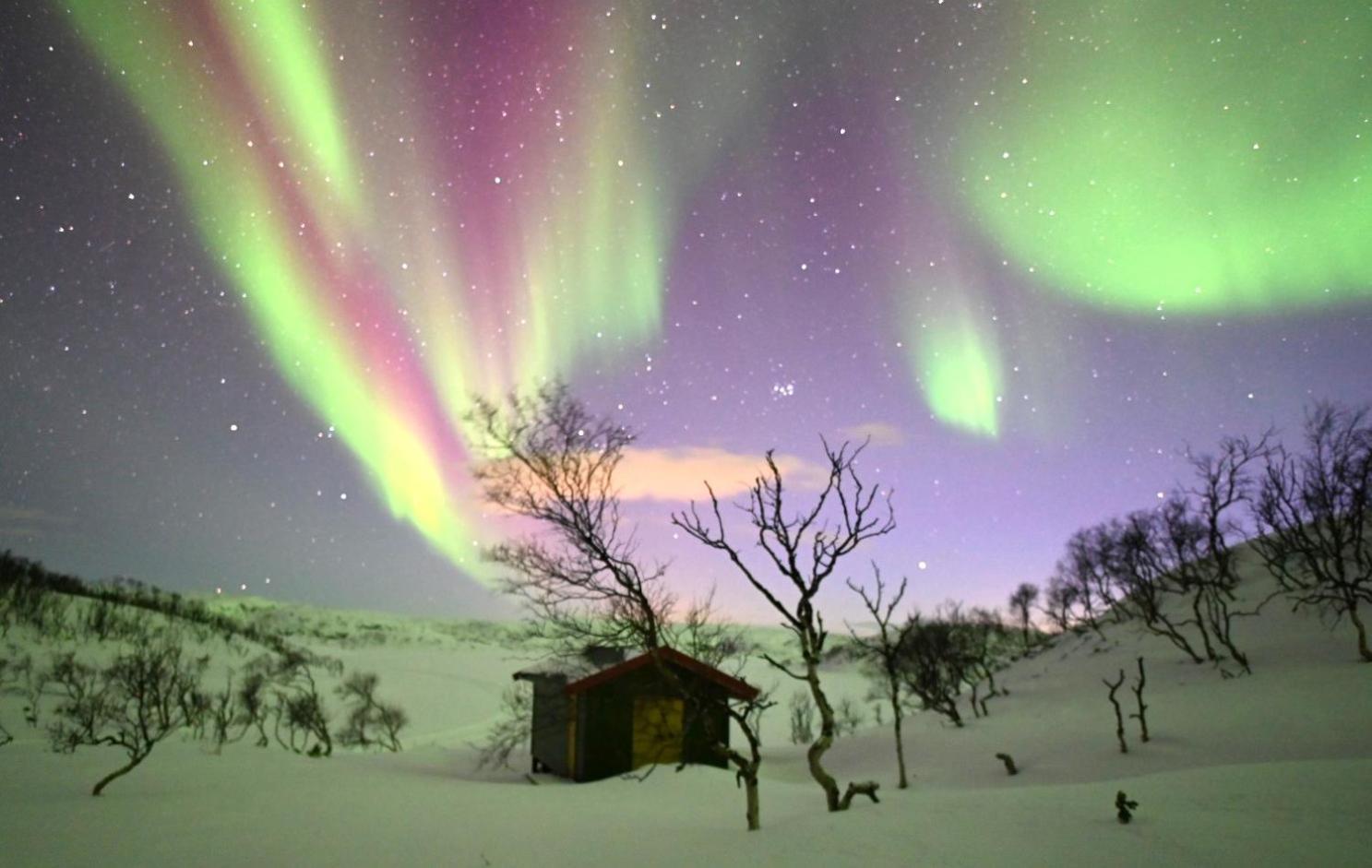 Atte Arstider Lodge Neiden Exteriér fotografie